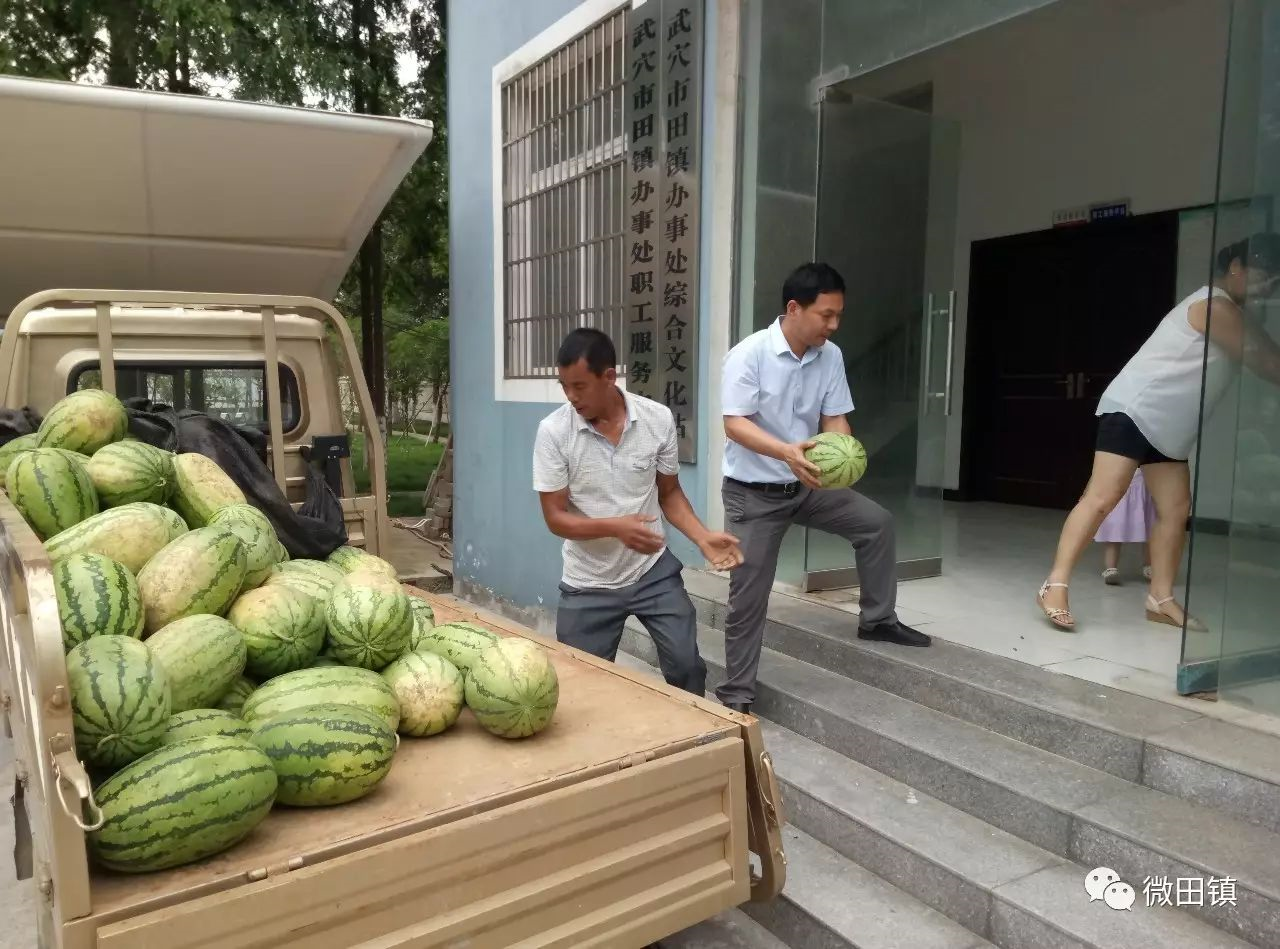 种下脱贫梦想 结出扶贫硕果 |徐平权同志帮助大法寺镇两李村闯出产业扶贫新道路(图1)